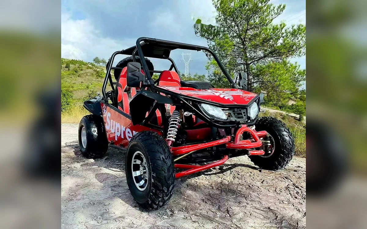 200cc Multi-Color Go-Kart angle 6